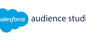 Audience Studio | Twopir Consulting: Salesforce, Marketing & Analytics Expert